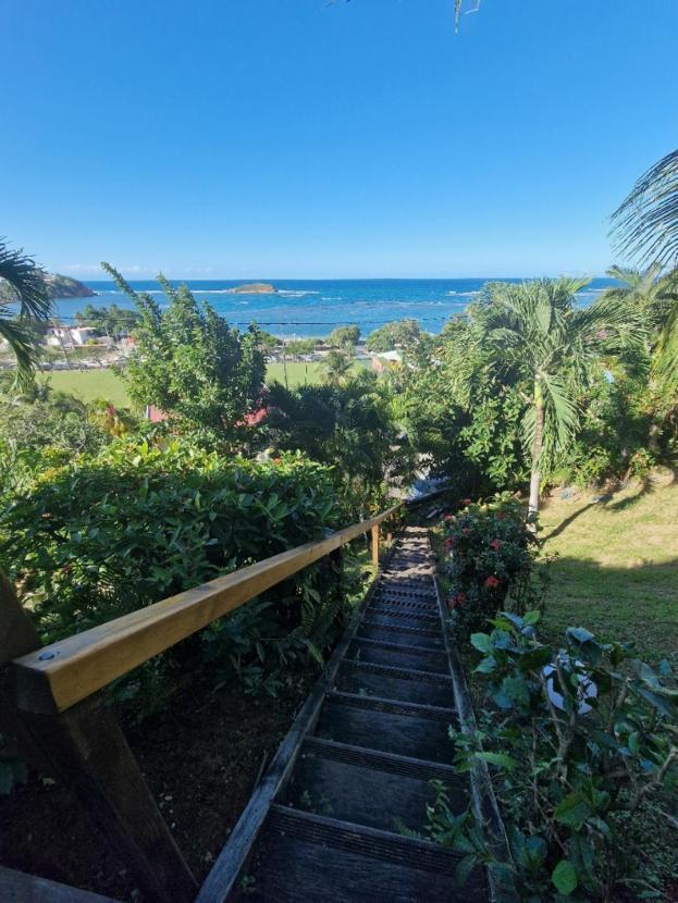 Hotel Le Manguier Morne Pavillon Bagian luar foto