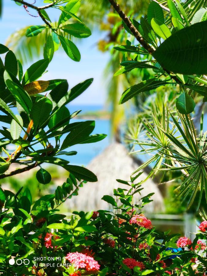 Hotel Le Manguier Morne Pavillon Bagian luar foto